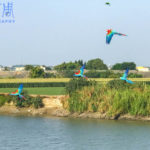 f_25313361_1