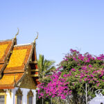 泰有趣的美塞邊界+大其力